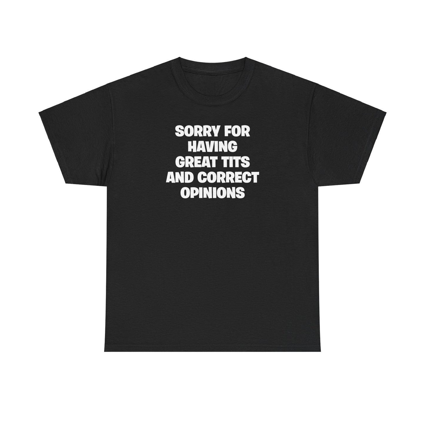 SORRY FOR HAVING GREAT TITS AND CORRECT OPINIONS T-SHIRT