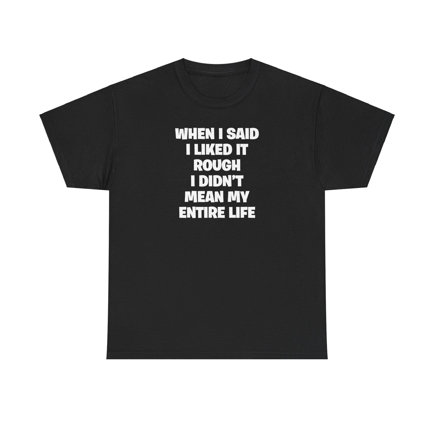 WHEN I SAID I LIKED IT ROUGH I DIDN'T MEAN MY ENTIRE LIFE T-SHIRT