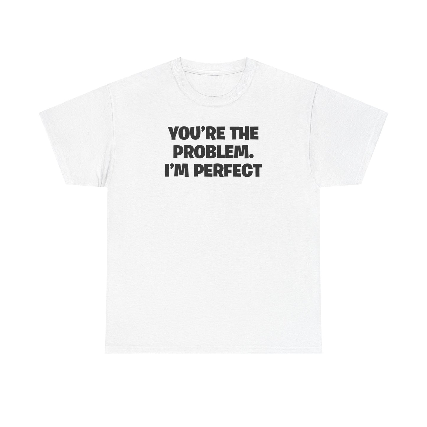 YOU'RE THE PROBLEM I'M PERFECT T-SHIRT