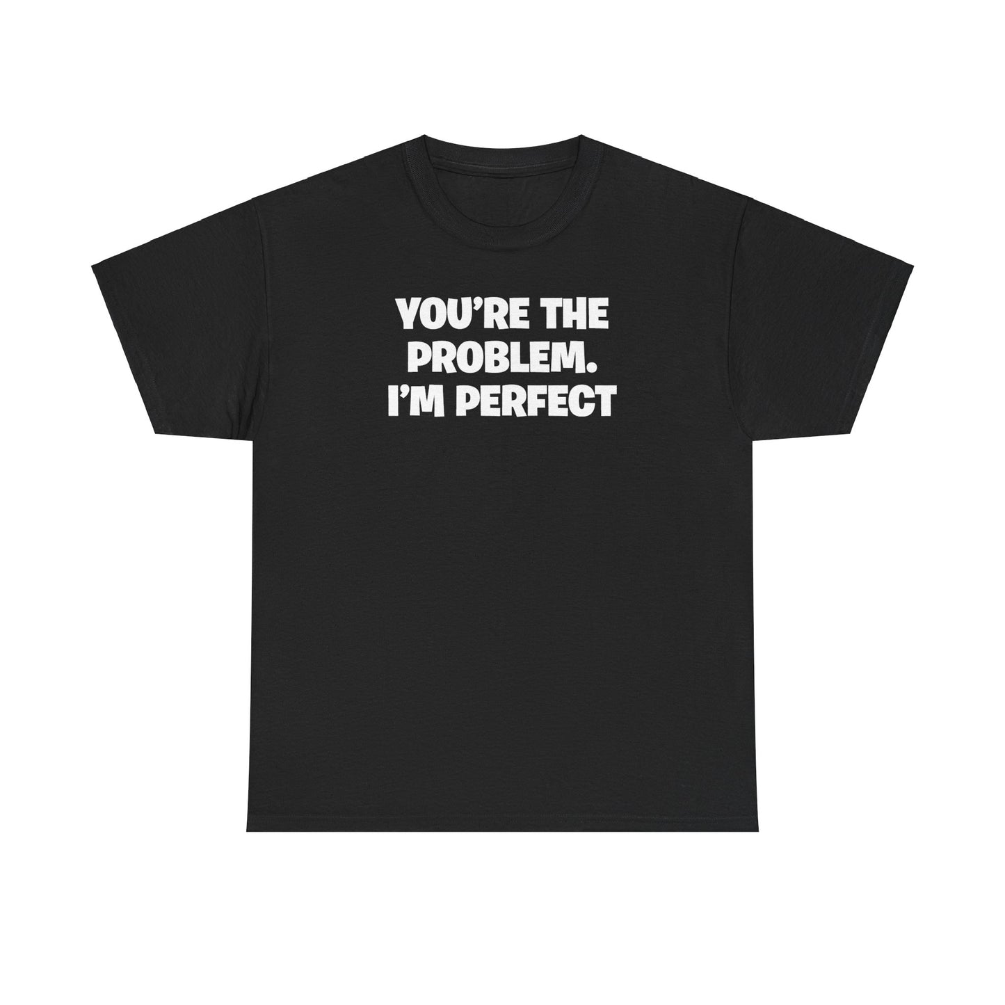 YOU'RE THE PROBLEM I'M PERFECT T-SHIRT